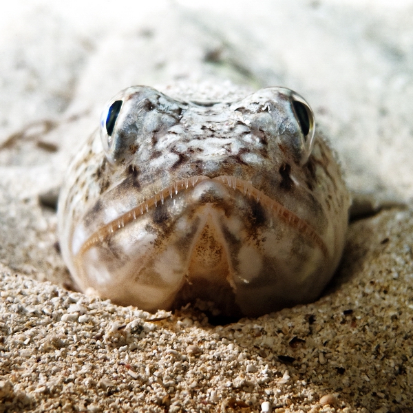 IMG 0566 Bildgr  e  ndern